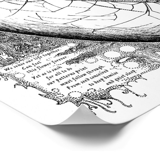 Eieren Poster (Hoek)