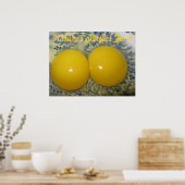 Eieren Poster (Keuken)