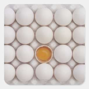Eieren Vierkante Sticker