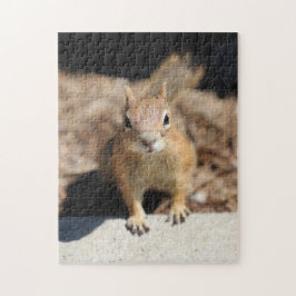 Eierkant Legpuzzel