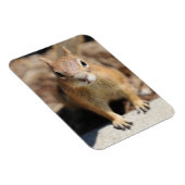 Eierkant Magneet (Rechterzijde)