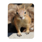 Eierkant Magneet (Verticaal)