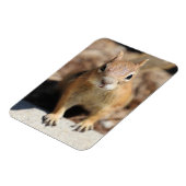 Eierkant Magneet (Linkerzijde)