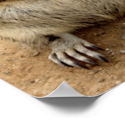 Eierkantje Poster (Hoek)