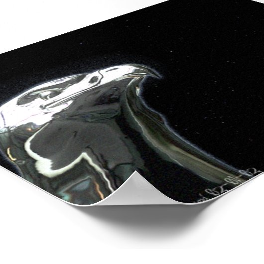 eierlijn poster (Hoek)