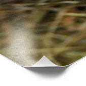 Eigen baby-schonuil foto afdruk (Hoek)