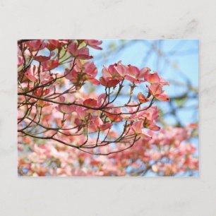 Eigen bloemen briefkaarten Roze Dogwood Flowers
