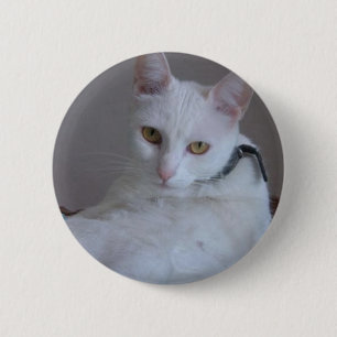Eigen huisdieren: Pitusa Ronde Button 5,7 Cm