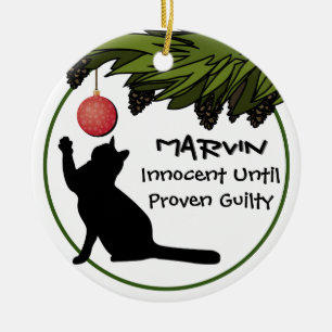 Eigen kat in de kerstboom keramisch ornament