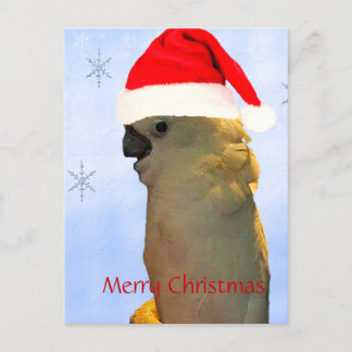 Eigen kokokokoevogel voor de kerstvakantie feestdagenkaart