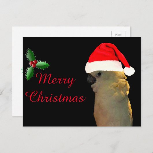 Eigen kokokokoevogel voor de kerstvakantie feestdagenkaart (Voorkant / Achterkant)