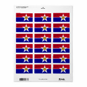 Eigen label met vlag van Dallas, Verenigde Staten (Full Sheet)