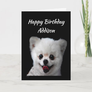 Eigen naam Fun Birthday Cute Happy Dog Animal Kaart