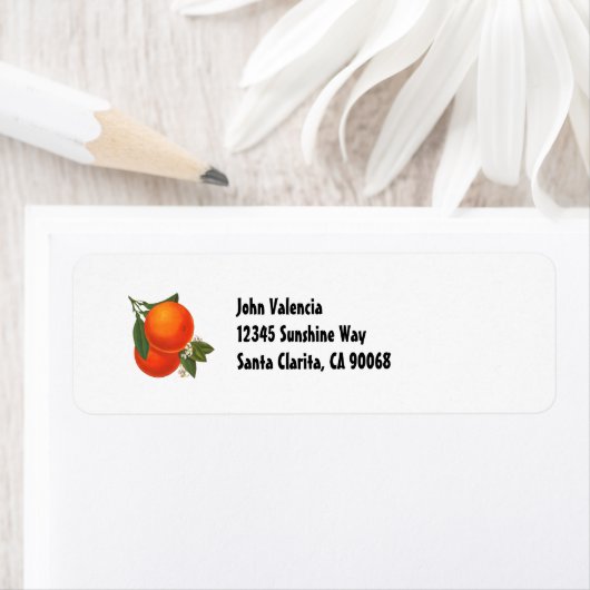 Eigen Sinaasappels met retro-adreslabel Etiket (Insitu)