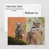 Eigenaar Briefkaart (Voorkant / Achterkant)