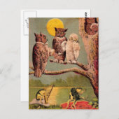  eigenaar briefkaart (Voorkant / Achterkant)