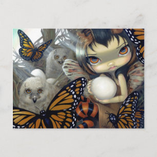 "Eigenaar in het Briefkaart Nest"