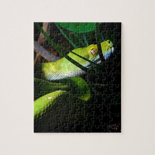 Eigenaar van de groene boom Python Snake Legpuzzel (Verticaal)