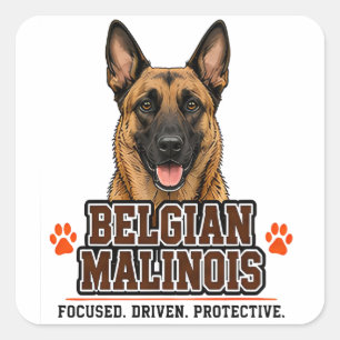 🐾 Eigenaar van een Belgische Malinois Familie tro Vierkante Sticker