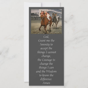 Eigenaars van prachtige paarden uit de Ras van Cla