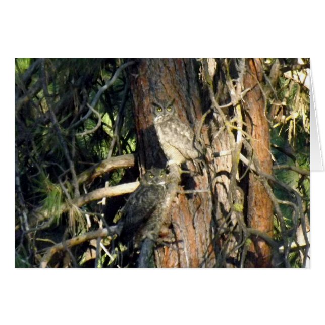 Eigenaren (Voorkant Horizontaal)