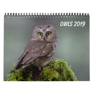 Eigenaren 2019 kalender