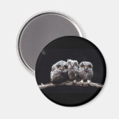 Eigenaren Magneet (Voorkant / Achterkant)