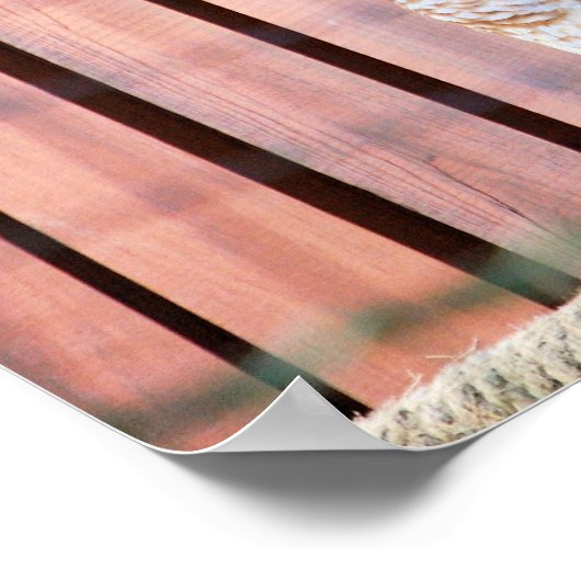 Eigenaren Poster (Hoek)