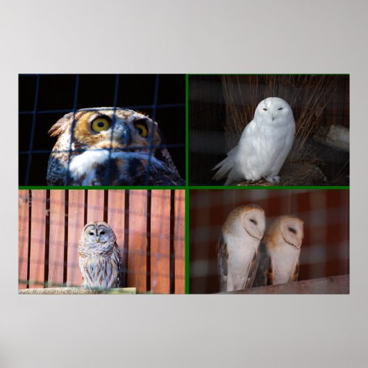 Eigenaren Poster (Voorkant)