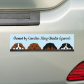 Eigendom van Cavalier King Charles Spaniels Bumpersticker (Op auto)