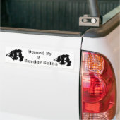 Eigendom van een Border Collie Funny Bumpersticker (Op Truck)
