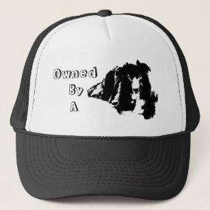Eigendom van een Border Collie Grappige Hond Trucker Pet