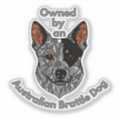 Eigendom van een Brattle hond Sticker (Voorkant)