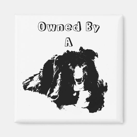 Eigendom van een grens Collie Cute Dog Magneet (Voorkant)
