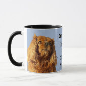 Eigendom van een Mok van Ruby Cavalier King Charle (Links)