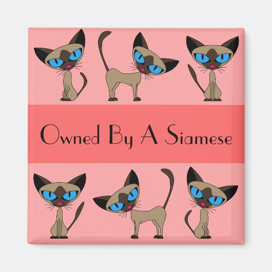 Eigendom van een Siamese magneet (Voorkant)