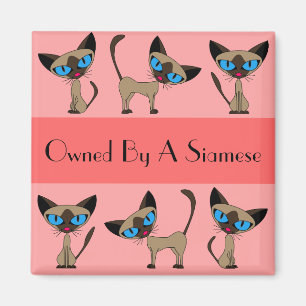 Eigendom van een Siamese Magnet Magneet