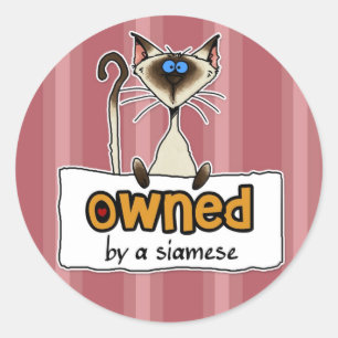 eigendom van een siamese ronde sticker