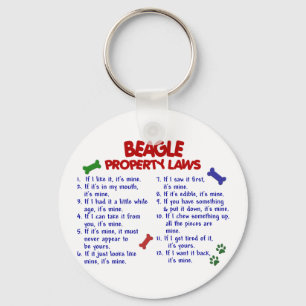 Eigendomswetten BEAGLE 2 Sleutelhanger