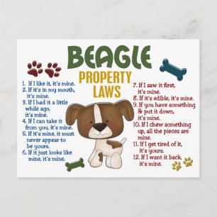 Eigendomswetten beagle 4 briefkaart