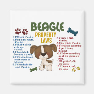 Eigendomswetten voor beagle 4 magneet