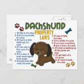Eigendomwetten Dachshund 4 Briefkaart (Voorkant / Achterkant)