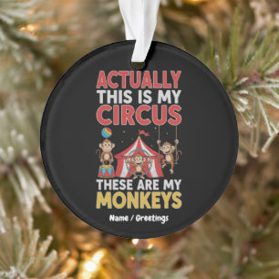 Eigenlijk is dit mijn circus Grappige moeder citaa Ornament