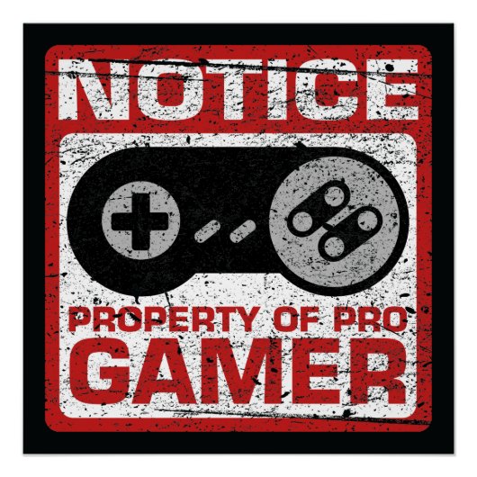 Eigenschap van Pro Gamer Perfect Poster (Voorkant)
