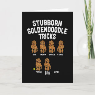 Eigenwijze Goldendoodle Trucs Grappige Hondentrain Kaart