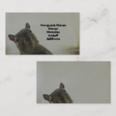 eigenzinnige eekhoorn visitekaartje (Voorkant / Achterkant)