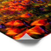 Eik in de papavervelden poster (Hoek)