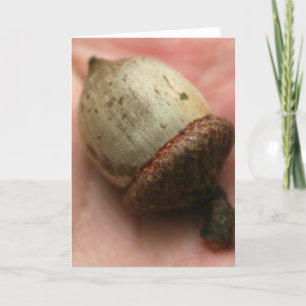 EIKEL KAART