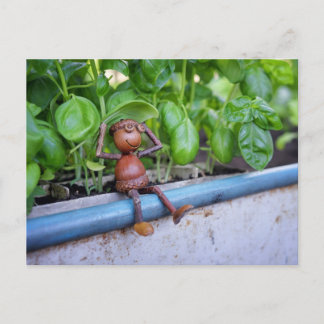 Eikeldwerg met Basilicumplanten Ansichtkaart Briefkaart