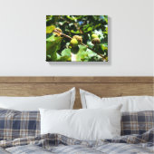 Eikels groeien op een eik canvas afdruk (Insitu (Slaapkamer))